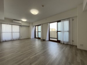 大津市西の庄、マンションの画像です