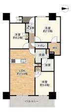 草津市渋川、マンションの間取り画像です
