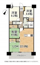 草津市大路、マンションの間取り画像です