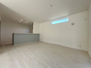 大津市御陵町、新築一戸建ての画像です