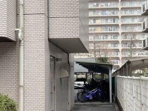 大津市におの浜、マンションの画像です