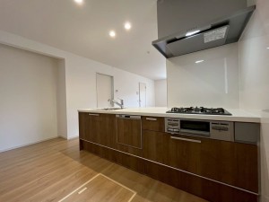 大津市桜野町、新築一戸建ての画像です