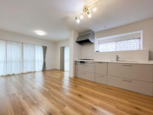 草津市平井、中古一戸建ての画像です