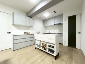 大津市湖城が丘、マンションの画像です