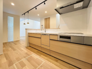 大津市下阪本、新築一戸建ての画像です