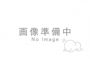 大津市野郷原、土地の間取り画像です