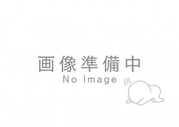 大津市野郷原、土地の間取り画像です