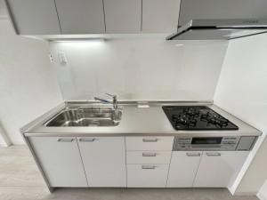 草津市西大路町、マンションの画像です