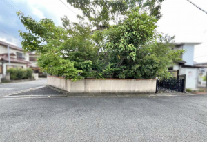 大津市下阪本、土地の画像です