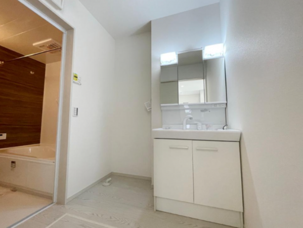 大津市桜野町、新築一戸建ての画像です