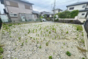 大津市湖青、土地の画像です