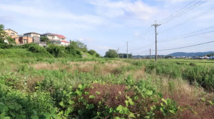 甲賀市甲南町、土地の画像です