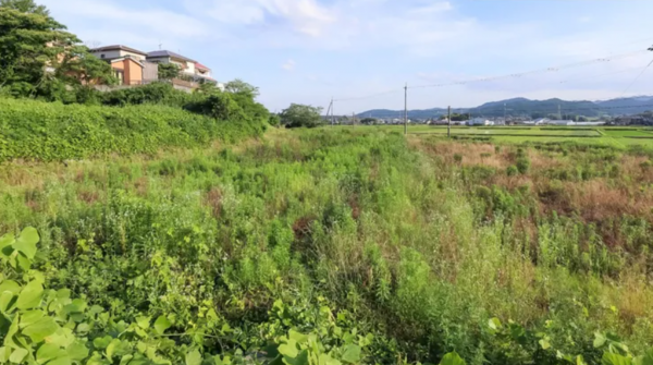 甲賀市甲南町、土地の画像です