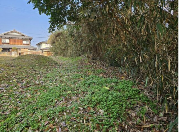 甲賀市水口町、土地の画像です