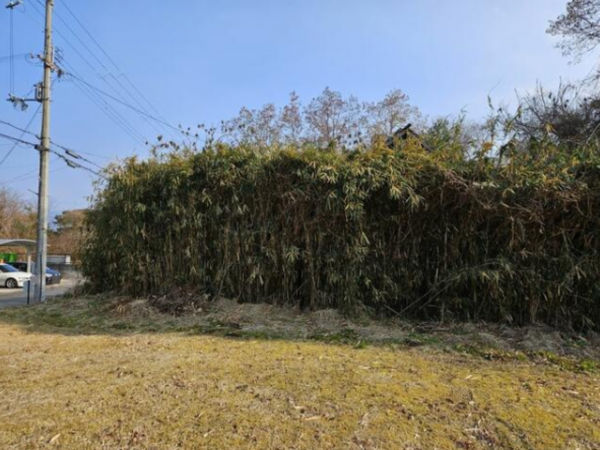 甲賀市水口町、土地の画像です