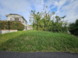 湖南市正福寺、土地の画像です