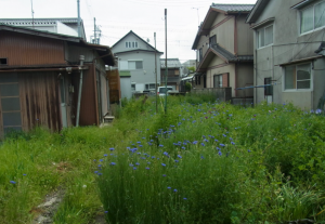 甲賀市水口町、土地の画像です