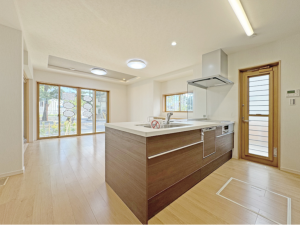 甲賀市水口町、新築一戸建ての画像です