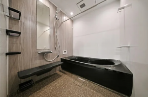 甲賀市水口町、新築一戸建ての画像です