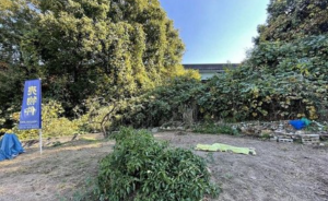 大津市大江、土地の画像です