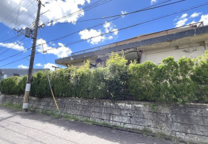 大津市比叡平、土地の画像です