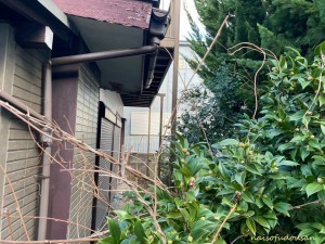 横須賀市金谷、中古一戸建ての画像です