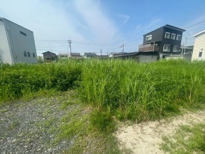 一宮市大毛、土地の画像です