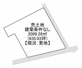 一宮市玉野、土地の間取り画像です