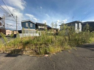 一宮市木曽川町玉ノ井、土地の画像です