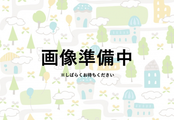 一宮市光明寺、土地の間取り画像です