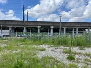 一宮市大和町宮地花池、土地の画像です