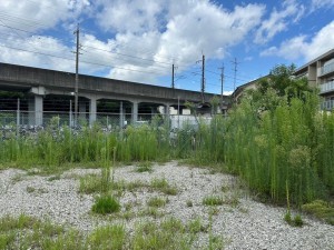 一宮市大和町宮地花池、土地の画像です