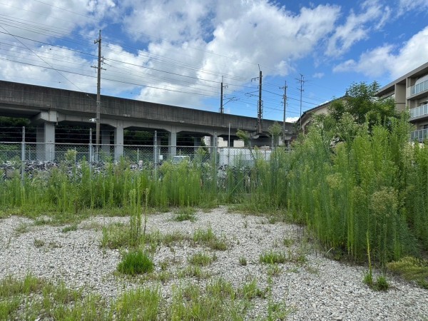 一宮市大和町宮地花池、土地の画像です