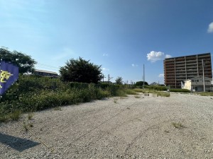一宮市大和町妙興寺、土地の画像です