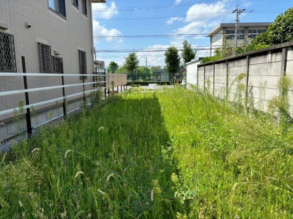 一宮市多加木、土地の画像です