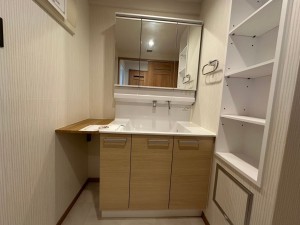 一宮市枠杁町、マンションの洗面画像です