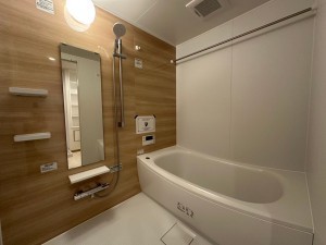 一宮市枠杁町、マンションの風呂画像です