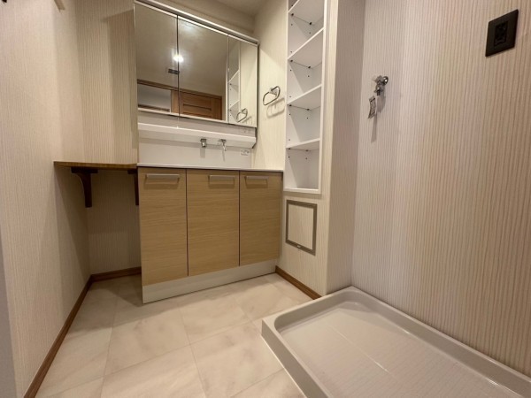 一宮市枠杁町、マンションの洗面画像です