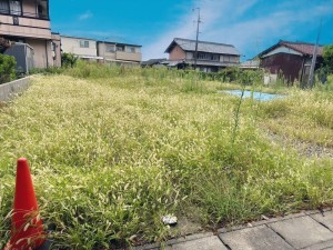 一宮市大和町妙興寺、土地の画像です