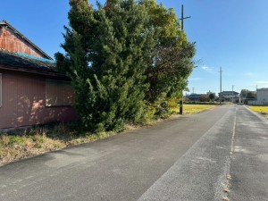 一宮市開明、土地の画像です