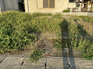 一宮市多加木、新築一戸建ての画像です