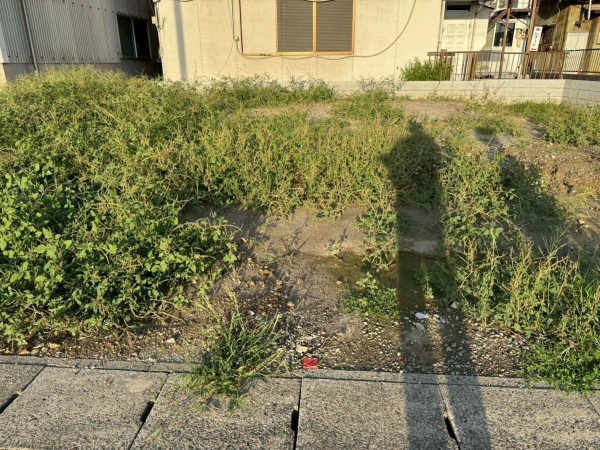 一宮市多加木、新築一戸建ての画像です