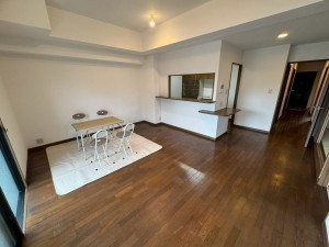 一宮市小信中島、マンションの画像です