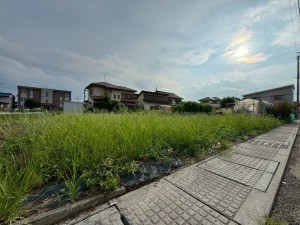 一宮市観音寺、土地の画像です