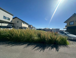 、土地の画像です