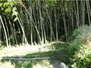 鹿児島市常盤、土地の画像です