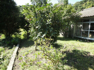 鹿児島市常盤、土地の画像です