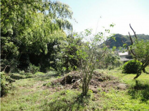 鹿児島市常盤、土地の画像です