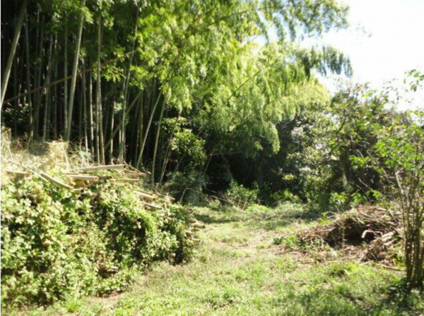 鹿児島市常盤、土地の画像です