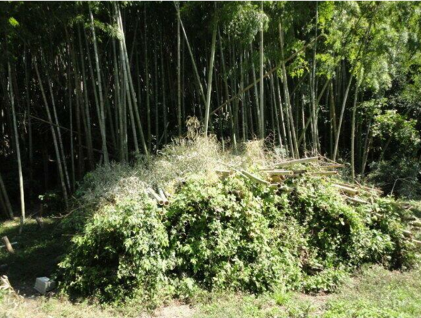 鹿児島市常盤、土地の画像です